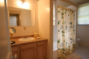 BroBathroom   